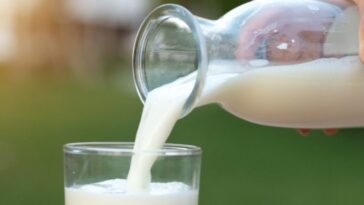 Does milk cause aging?