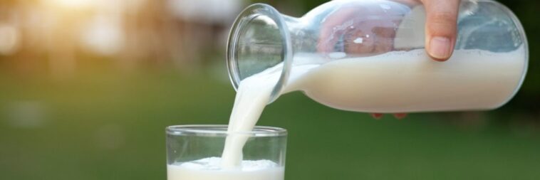 Does milk cause aging?