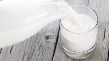 Does milk make you fat?