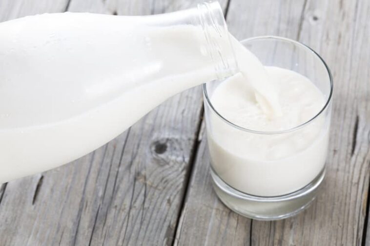 Does milk make you fat?