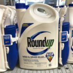 Does oat use glyphosate?