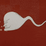 Does pineapple affect sperm?