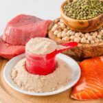 Does protein make you gain weight?