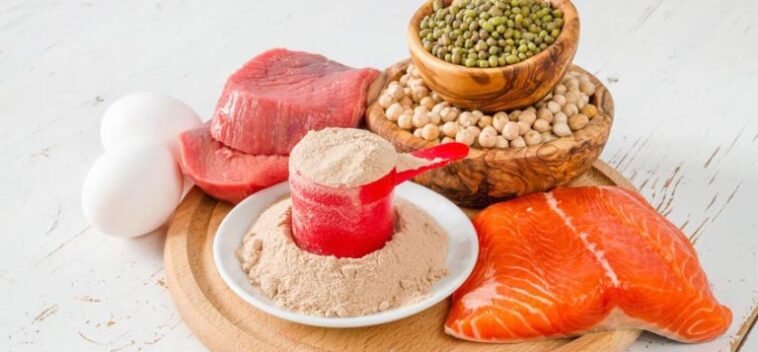 Does protein make you gain weight?