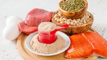 Does protein make you gain weight?