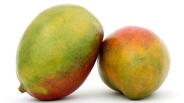 Does raw mango cause constipation?