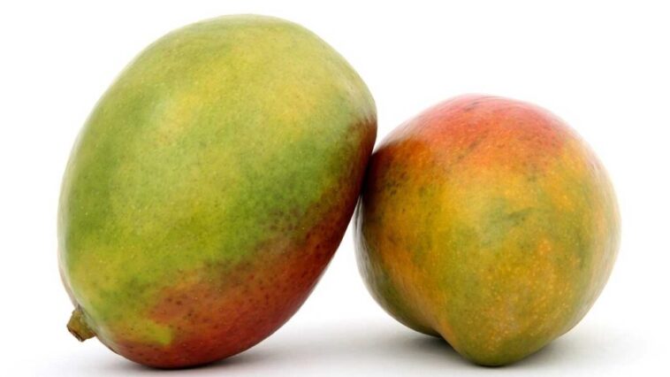 Does raw mango cause constipation?