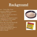 Does the amount of yeast affect how bread rises?