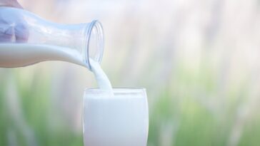 Does whole milk yogurt have vitamin D?