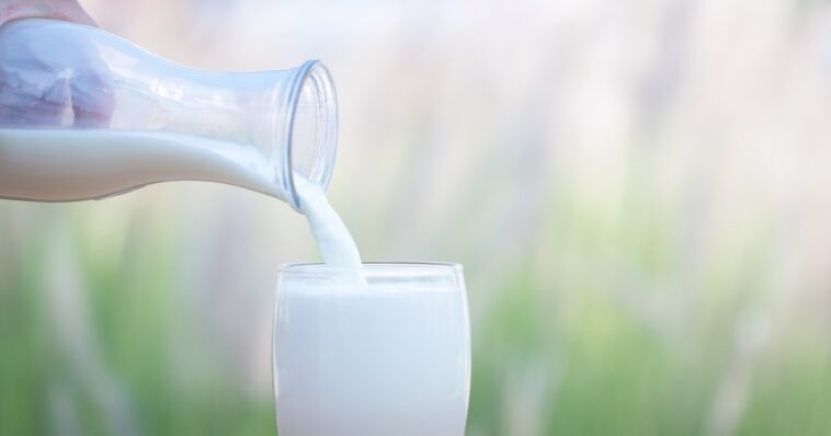 Does whole milk yogurt have vitamin D?