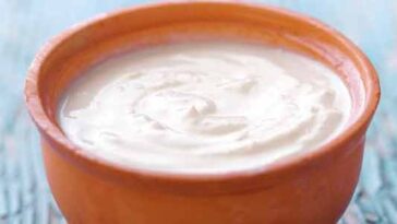 Does yogurt burn belly fat?