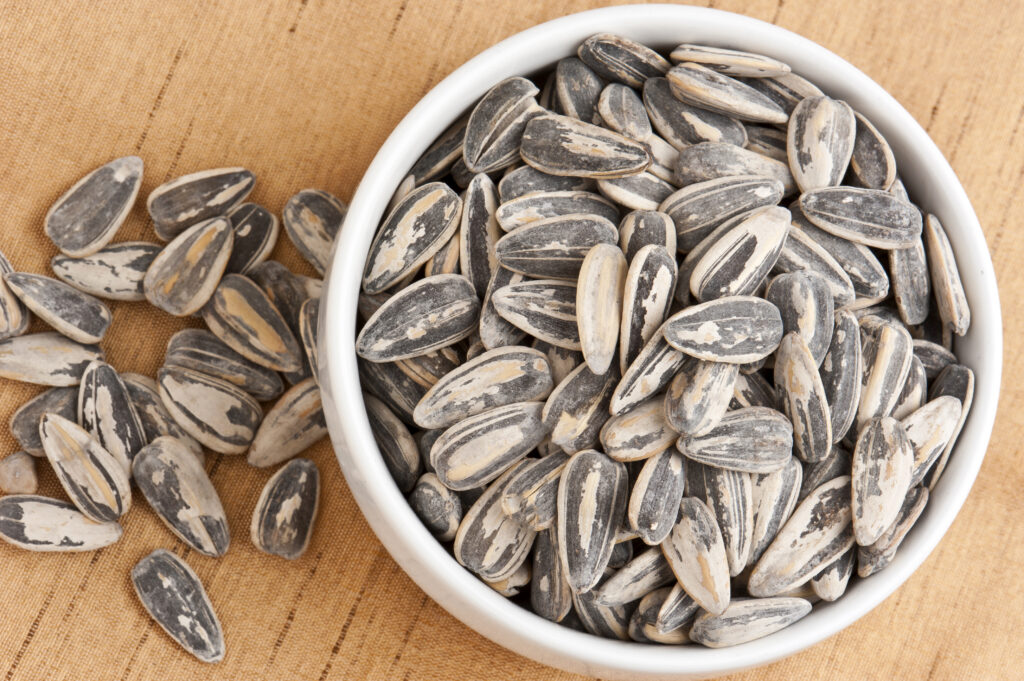 how-bad-are-sunflower-seeds-for-you