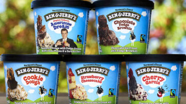 How big are Ben and Jerry's Mini Cups?