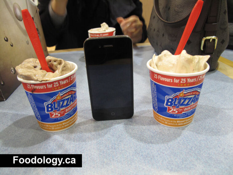 How big is a DQ Mini Blizzard?