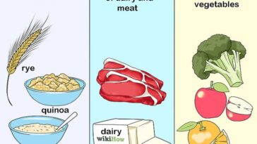 How can I shrink my stomach?