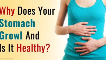 How can I stop gas noises in my stomach?