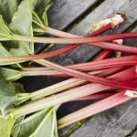 How can you tell if rhubarb is safe to eat?