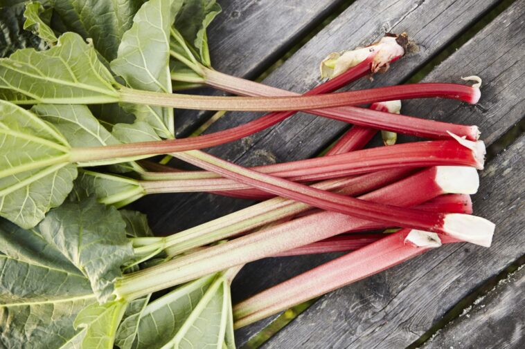 How can you tell if rhubarb is safe to eat?