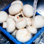 How do I know when my mushrooms have gone bad?