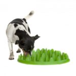 How do slow eaters eat fast?