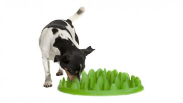 How do slow eaters eat fast?