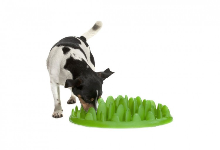 How do slow eaters eat fast?