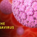 How do you build immunity against Covid?