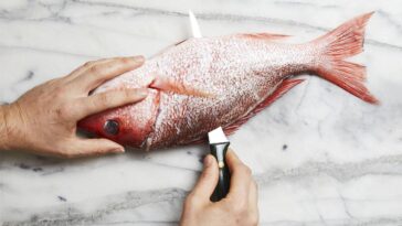 How do you debone a fish step by step?