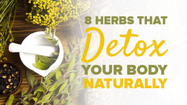 How do you detox your body when bloated?