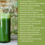 How do you drink liquid chlorophyll?
