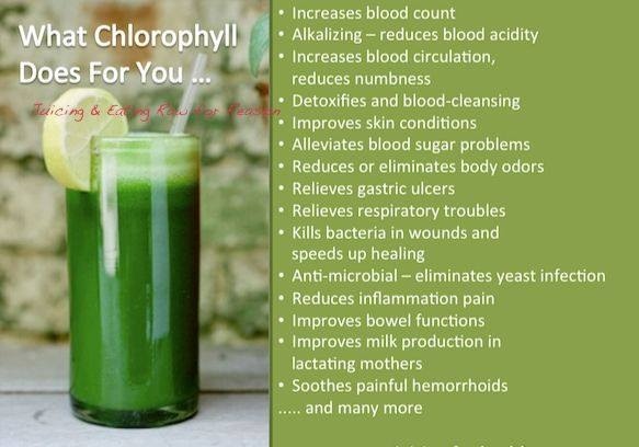 How do you drink liquid chlorophyll?