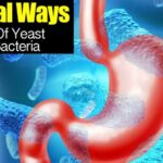 How do you get rid of Lactobacillus overgrowth?