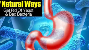 How do you get rid of Lactobacillus overgrowth?