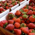 How do you hull a strawberry with a straw?