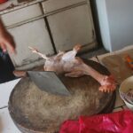 How do you keep meat off the grid?