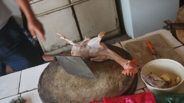 How do you keep meat off the grid?