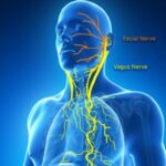 How do you keep your vagus nerve healthy?