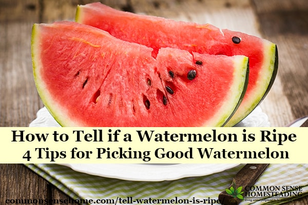 How do you know if a fruit is good?