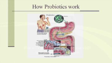 How do you know if a probiotic is working?