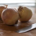 How do you know when diced onions go bad?
