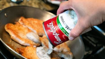 How do you make Campbell's condensed soup?