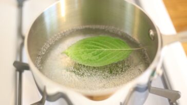 How do you make mint chlorophyll water?