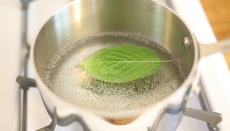 How do you make mint chlorophyll water?