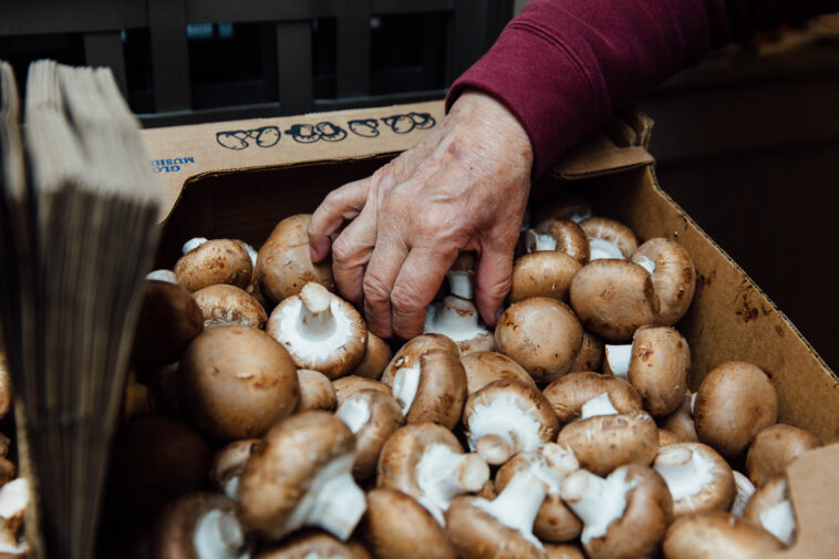 How do you make mushrooms last longer in the fridge?