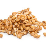 How do you make sprouted grains at home?