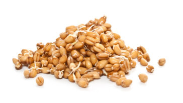 How do you make sprouted grains at home?