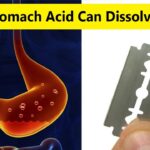 How do you melt your stomach?