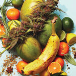 How do you pair food?