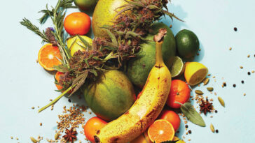 How do you pair food?