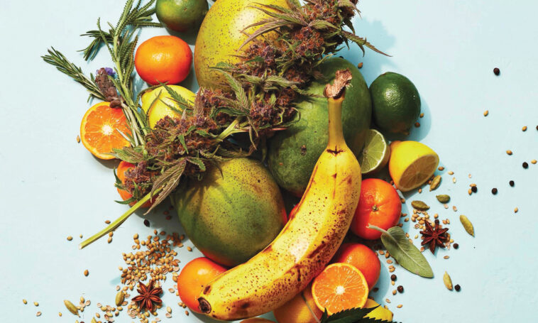 How do you pair food?